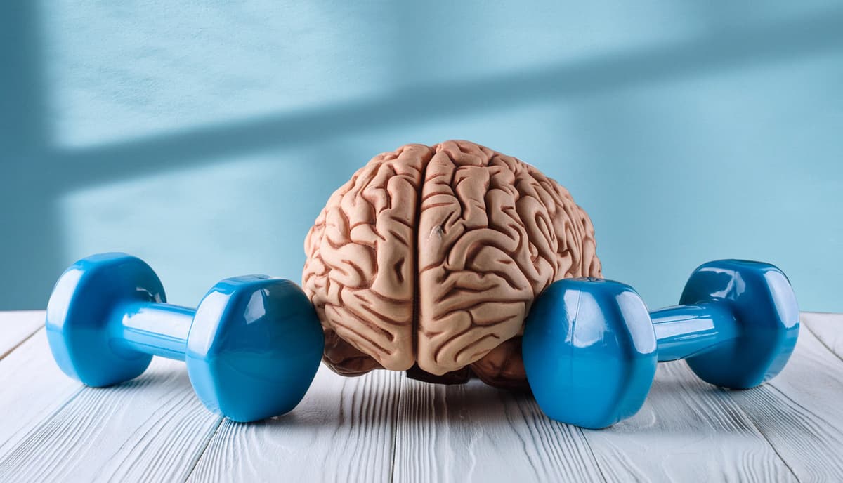 Model van een brein tussen twee blauwe dumbbells op een houten vloer: fysieke en mentale gezondheid gaan samen